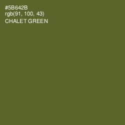 #5B642B - Chalet Green Color Image